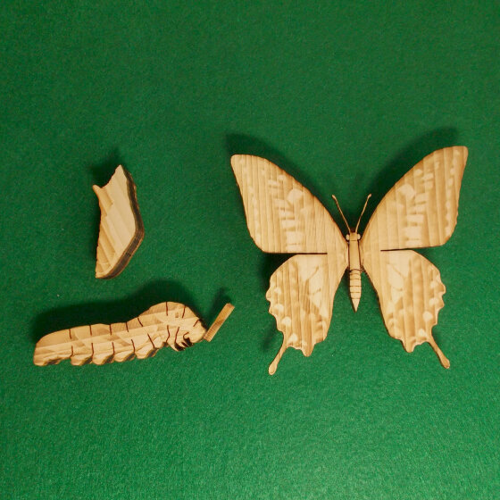 かんたん木工作キット クイック・クラフトン 第1弾 昆虫 No.4 アゲハチョウ 幼虫、さなぎ、止まり木セット